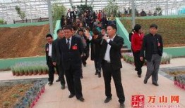 铜仁万山区最新爆料新闻,最新爆料揭示惊人真相